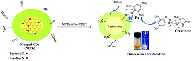 Graphical abstract: Label-free detection of creatinine using nitrogen-passivated fluorescent carbon dots