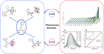 Graphical abstract: Synthesis and characterization of MOFs constructed from 5-(benzimidazole-1-yl)isophthalic acid and highly selective fluorescence detection of Fe(iii) and Cr(vi) in water
