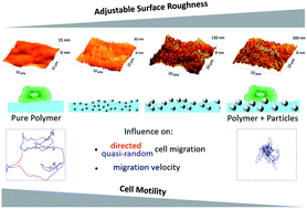 Graphical abstract: Tailored nanotopography of photocurable composites for control of cell migration