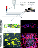 Graphical abstract: Three-dimensional directional nerve guide conduits fabricated by dopamine-functionalized conductive carbon nanofibre-based nanocomposite ink printing