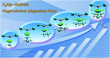 Graphical abstract: On single-electron magnesium bonding formation and the effect of methyl substitution