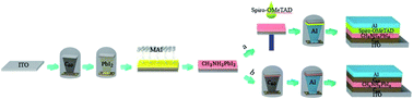 Graphical abstract: Interface engineering for gain perovskite photodetectors with extremely high external quantum efficiency