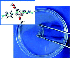 Graphical abstract: High-temperature resistant water-soluble polymers derived from exotic amino acids