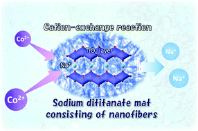 Graphical abstract: Sorption capacity of seaweed-like sodium titanate mats for Co2+ removal