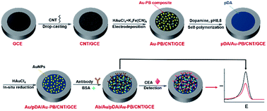 Graphical abstract: Reagentless and sensitive determination of carcinoembryonic antigen based on a stable Prussian blue modified electrode