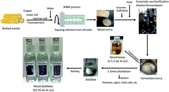 Graphical abstract: Production of flavorful alcohols from woods and possible applications for wood brews and liquors