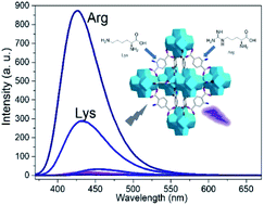 Graphical abstract: Amino group dependent sensing properties of metal–organic frameworks: selective turn-on fluorescence detection of lysine and arginine
