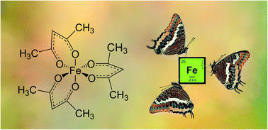 Graphical abstract: Error or exemption to the rule? Development of a diagnostic check for thermochemistry of metal–organic compounds