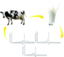 Graphical abstract: The migration of acetochlor from feed to milk