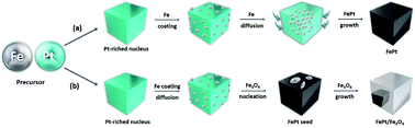 Graphical abstract: Phase controlled one-pot synthesis of heterostructured FePt–Fe3O4 nanocubes with excellent biocompatibility