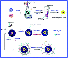 Graphical abstract: pH-Sensitive magnetite mesoporous silica nanocomposites for controlled drug delivery and hyperthermia