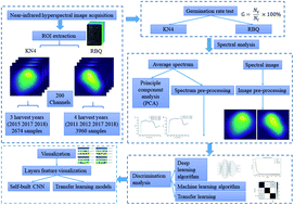 Graphical abstract: Assessment of the vigor of rice seeds by near-infrared hyperspectral imaging combined with transfer learning