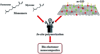 Graphical abstract: Bio-elastomer nanocomposites reinforced with surface-modified graphene oxide prepared via in situ coordination polymerization
