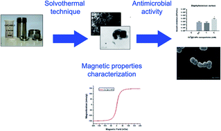 Graphical abstract: Co0 superparamagnetic nanoparticles stabilized by an organic layer coating with antimicrobial activity