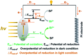 Graphical abstract: Photo-induced self-catalysis of nano-Bi2MoO6 for solar energy harvesting and charge storage