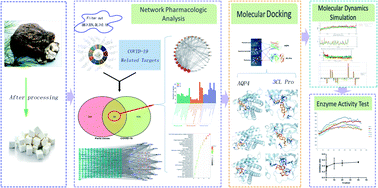 Graphical abstract: The inhibition of Mpro, the primary protease of COVID-19, by Poria cocos and its active compounds: a network pharmacology and molecular docking study