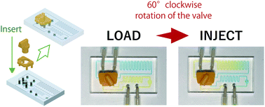 Graphical abstract: Development of an on-chip sample injection system with a 6-port valve incorporated in a microchip