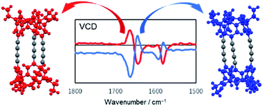 Graphical abstract: Cylindrical macrocyclic compounds synthesized by connecting two bowl-shaped calix[3]aramide moieties: structures and chiroptical properties