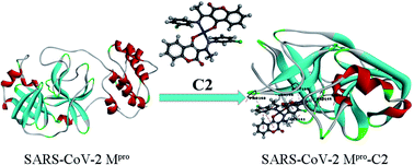 Graphical abstract: Several coumarin derivatives and their Pd(ii) complexes as potential inhibitors of the main protease of SARS-CoV-2, an in silico approach