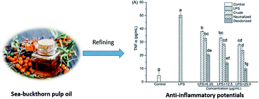 Graphical abstract: Changes of physicochemical properties, oxidative stability and cellular anti-inflammatory potentials for sea-buckthorn pulp oils during refining