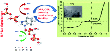 Graphical abstract: Co-doped carbon materials synthesized with polymeric precursors as bifunctional electrocatalysts