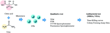 Graphical abstract: Microwave assisted synthesis of negative-charge carbon dots with potential antibacterial activity against multi-drug resistant bacteria