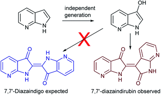 Graphical abstract: Exploring an anomaly: the synthesis of 7,7′-diazaindirubin through a 7-azaindoxyl intermediate