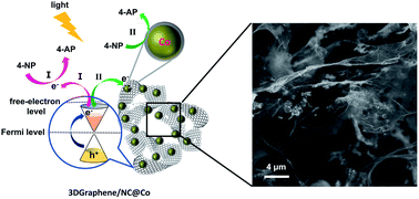 Graphical abstract: Hot electron prompted highly efficient photocatalysis based on 3D graphene/non-precious metal nanoparticles