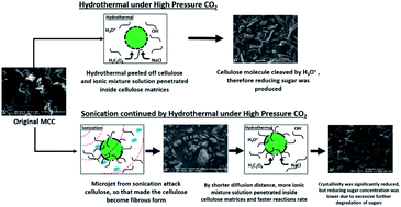 Graphical abstract: The degradation of cellulose in ionic mixture solutions under the high pressure of carbon dioxide