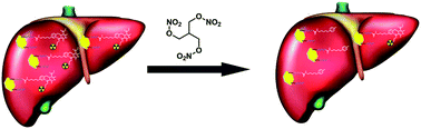 Graphical abstract: Controllable stripping of radiolabeled group in vivo to optimize nuclear imaging via NO-responsive bioorthogonal cleavage reaction