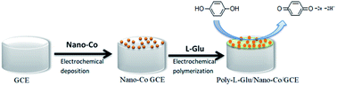 Graphical abstract: A study on the electrochemical behavior of hydroquinone at a nanometer cobalt/l-glutamate-modified electrode