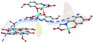 Graphical abstract: Structural conversion of three copper(ii) complexes with snapshot observations based on the different crystal colours and morphology