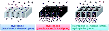 Graphical abstract: Relationship between surface hydrophobicity and flux for membrane separation