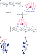 Graphical abstract: Blue light-induced low mechanical stability of ruthenium-based coordination bonds: an AFM-based single-molecule force spectroscopy study