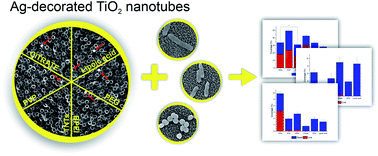 Graphical abstract: Antibacterial activity of AgNPs–TiO2 nanotubes: influence of different nanoparticle stabilizers