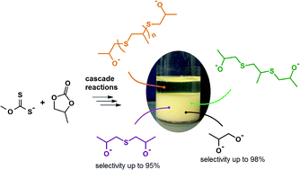 Graphical abstract: The reaction of potassium xanthates with five-membered cyclic carbonates: selectivity of the underlying cascade reactions and mechanistic insights