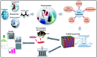 Graphical abstract: Development and in vitro evaluation of κ-carrageenan based polymeric hybrid nanocomposite scaffolds for bone tissue engineering