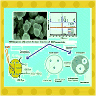 Graphical abstract: Selective synthesis of visible light active γ-bismuth molybdate nanoparticles for efficient photocatalytic degradation of methylene blue, reduction of 4-nitrophenol, and antimicrobial activity