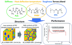 Graphical abstract: Morphology and performance relationship studies on biodegradable ternary blends of poly(3-hydroxybutyrate-co-3-hydroxyvalerate), polylactic acid, and polypropylene carbonate