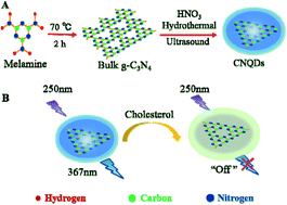 Graphical abstract: Highly rapid and non-enzymatic detection of cholesterol based on carbon nitride quantum dots as fluorescent nanoprobes