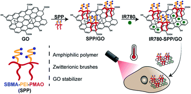 Graphical abstract: Sulfobetaine methacrylate-functionalized graphene oxide-IR780 nanohybrids aimed at improving breast cancer phototherapy