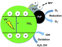 Graphical abstract: Effects of chlorinated Pd precursors and preparation methods on properties and activity of Pd/TiO2 catalysts