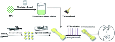 Graphical abstract: Surface cross-linked thermoplastic starch with different UV wavelengths: mechanical, wettability, hygroscopic and degradation properties