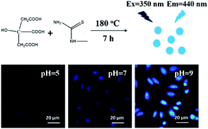 Graphical abstract: N,S-co-doped carbon dots for rapid acid test paper and bioimaging