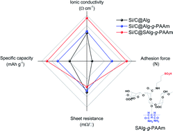 Graphical abstract: Sulfonation of alginate grafted with polyacrylamide as a potential binder for high-capacity Si/C anodes