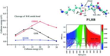 Graphical abstract: Mass spectral and theoretical investigations of the transient proton-bound dimers on the cleavage processes of the peptide GHK and its analogues