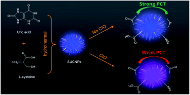 Graphical abstract: Photoluminescent sea urchin-shaped carbon-nanobranched polymers as nanoprobes for the selective and sensitive assay of hypochlorite