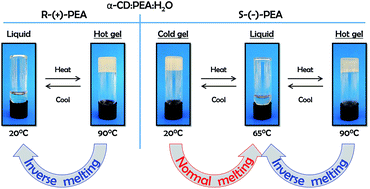 Graphical abstract: Chirality dependent inverse-melting and re-entrant gelation in α-cyclodextrin/1-phenylethylamine mixtures