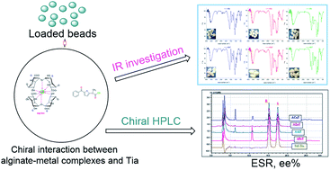 Graphical abstract: Spectroscopic and chromatographic investigation of chiral interactions between tiaprofenic acid and alginate–metal-complexes