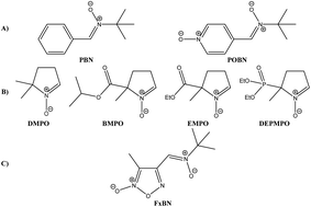 Graphical abstract: Synthesis and evaluation of new heteroaryl nitrones with spin trap properties
